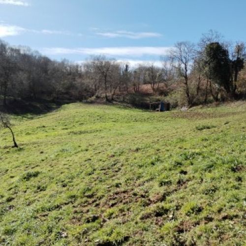 thumbnail img 20240306 112733